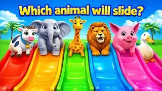 Which Animal Will Slide? 🛝🐘🐄 | Fun Colorful Kids Game