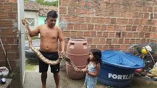 ENCONTRAMOS UMA JIBÓIA DE MAS DE 2 METROS 😱 MUITO COMUM AQUI NA ALDEIA 🏹