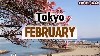 Visit Japan in February Tokyo Japan | Weather, Festivals, Things to Do  #japandaytrip #japanwinter