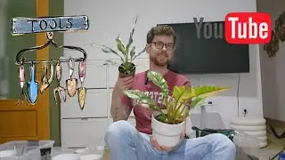 A major conversational replanting of new plants in Madrid. February 2026.