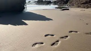 WHITSAND BAY-Cornwall's Hidden Gem/ Amazing cliffs/ Marine life/ Lovely beach/Lovely waves/ 4K video