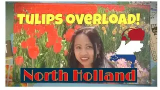 TULIPS OVERLOAD 2/2 | in Anna Paulowna Poldertuin