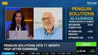 Overlooked Stock: PENG Earnings Show Turnaround Potential