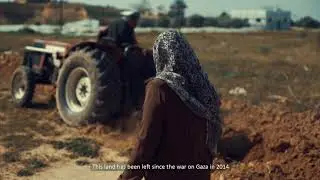 Emergency Support to Gaza Farmers 2018-2019
