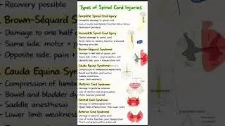 # type of spinal cord injury
