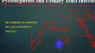 Pathology - dr.  Tahseen -- Pyelonephritis ( Acute & chronic) , Nephrosclerosis باثولوجي