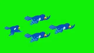 2d cartoon bird flying frame by frame animation 4k screen green Free Video #greenscree #bird
