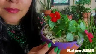 ASMR HERBOLOGY UNINTELLIGIBLE GREENHOUSE VISIT