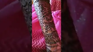 ✅#Puperty Ceremony Mehandi💥🥳