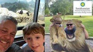 First Visit to Smithsonian Zoo! Asian Elephants | Giant Pandas | Mammal House | So Much More!!!