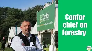 Forestry chief on the need to put timber back at the heart of UK's woodlands