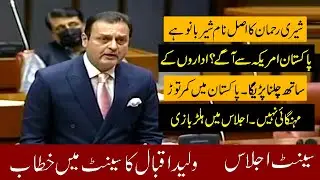 Pakistan's Senate Session Today | Heated Debate | PTI  Senator  Waleed Iqbal Hard Speech