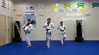 At Home Taekwondo Training Challenge - White Belt Sparring Combo