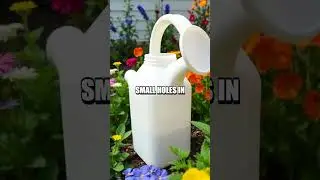 DIY Upcycled Milk Jug Watering Can
