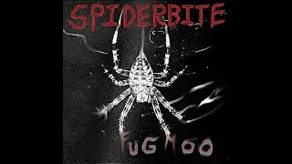 Spiderbite