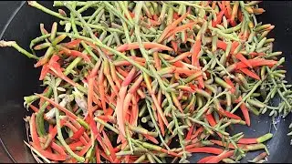Cortando pitos en El Salvador