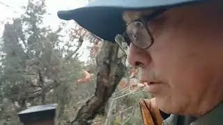 삼성산  ᆢ등산후ᆢ인삼ᆢ순대국ᆢ카페라떼ᆢ!