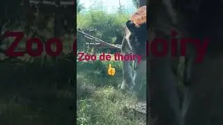 zoo de thoiry