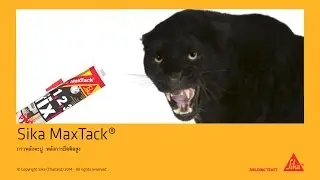 Sika MaxTack&reg; (Thai version)