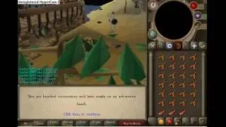dragon slayer guide:killing elvarg
