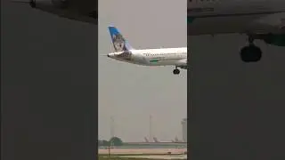 Frontier Tail Animal - Virginia The Wolf | Airbus A321 | #shorts
