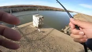 Dirt Canal Striper Fishing