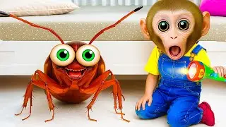 Funny Surprise in the Living Room | Cute Monkey Discovers a Colorful Little Visitor at Home Moments