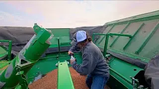 The Challenges of High Humidity + Harvest