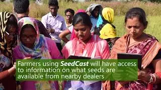 Seedcast: Connecting rice farmers and seed producers in Odisha