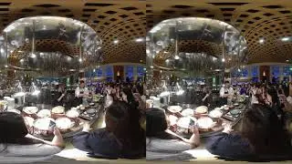 Li Nan Xing at Town Restaurant Fullerton Hotel during Mother's Day 2019-05-12 in 180 3D Photo