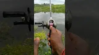 long casting a lure is very important in snakehead fishing #snakehead #fortuneangler