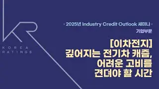 2025년 Industry Credit Outlook [이차전지] 깊어지는 전기차 캐즘(Chasm), 어려운 고비를 견뎌야 할 시간