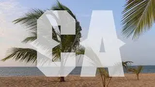 New coinbase coins reviewed by beach boy