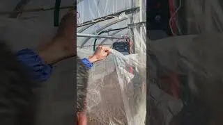 Automatic Greenhouse Spraying System &ndash; an Efficient Alternative to Manual Spraying