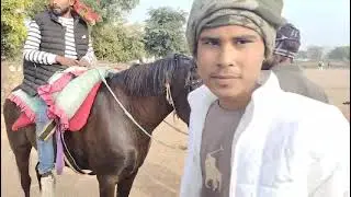 चौथ का बरवाड़ा में घोड़ी प्रतियोगिता में mp 31 बिजली वैसे तो 1st विजेता थी पर कमेटी का निर्णय माना 