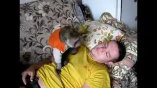 Amazing loving Monkey