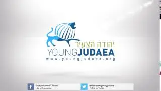 internship in israel