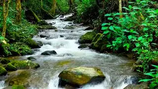 4K flowing Stream at a Waterfall. River Sounds, Flowing Water, White Noise, Nature Sounds to Sleep.