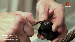 Brouillade à la truffe du Périgord