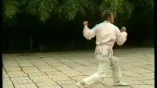 1. Da Hong Quan - 大鸿拳 - Big Vast Fist Boxing (not Shaolin) Liu Bu Jia and 2, Xiao Hong Quan