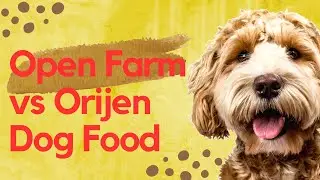 Корма для собак Open Farm и Orijen: какая марка подойдет вашему щенку?