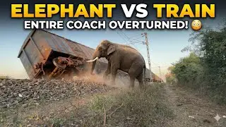 Elephant vs Train: Entire Railway Coach Overturned😳