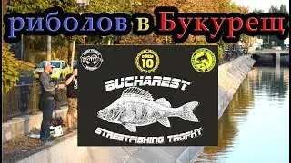 Състезание по уличен риболов 2019 Bucharest Streetfishing Trophy 10