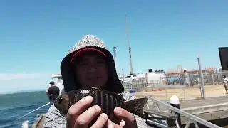 NICE FISHING SPOT. QUEENSCLIFF HARBOUR. TREVALLY