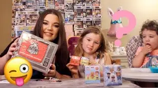 Black Friday GameStop exclusive funko mystery box unboxing