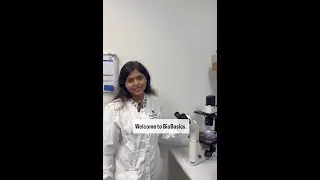 What is a chromosome?