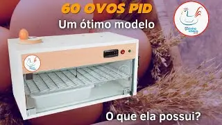 Chocadeira 60 ovos ALTA ECLOS&Atilde;O/ conhe&ccedil;a nossos produtos