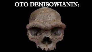 Zagadka Denisowian rozwiązana!