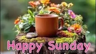 Good morning sunday images  !! Good morning flowers images  !! Good morning pics