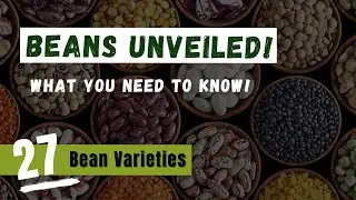 27 Beans Unveiled! What you need to know!